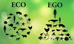 eco-ego-1024x605.jpg