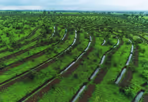 Paani-Foundation.jpg