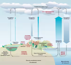 cycle-eau-1024x928.png